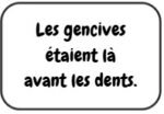 Les gencives - Image 2