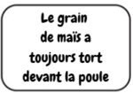 Le grain de maïs - Image 2