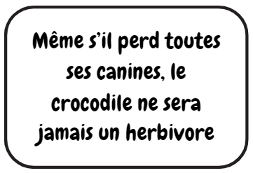 Canines du crocodile Les canines du crocodile - Image 2